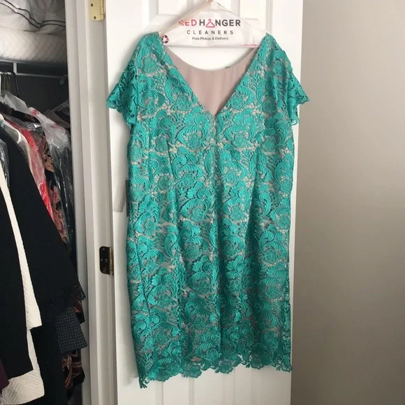 Eliza J lace dress in Gem Green - Picture 5 of 5